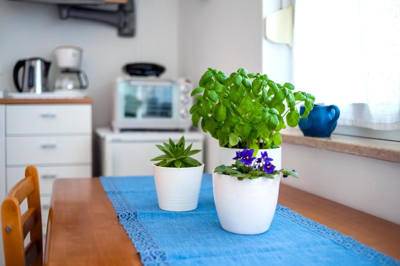 Apartment Casa Banko Rovinj Extérieur photo